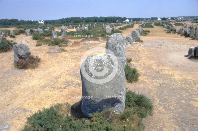Carnac, Brittany Alignments at Menez, c20th century. Artist: CM Dixon.