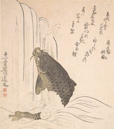 Carp Trying to Swim up a Waterfall, probably 1820. Creator: Kurokawa Michita