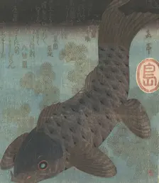 Carp and Pine. Creator: Gakutei