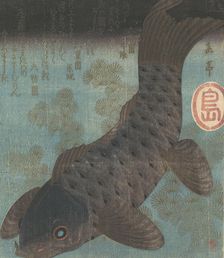 Carp and Pine. Creator: Gakutei