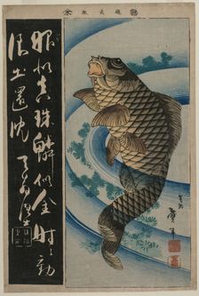 Carp and Waterweeds, c. early 1830s. Creator: Katsushika Taito II (Japanese, active c. 1810-50s)