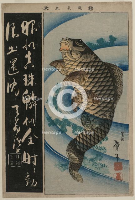 Carp and Waterweeds, c. early 1830s. Creator: Katsushika Taito II (Japanese, active c. 1810-50s).