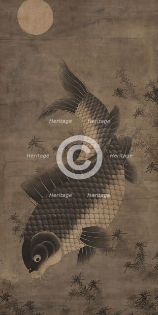 Carp, between 1644 and 1911. Creator: Unknown.