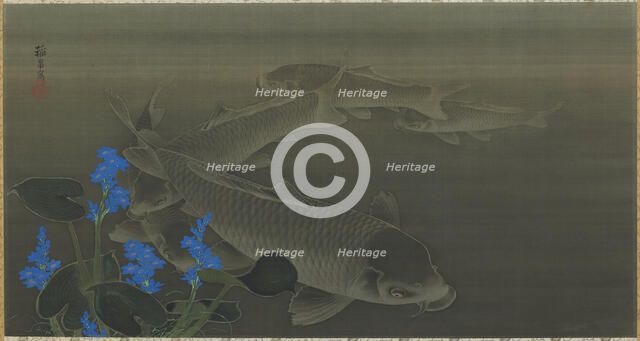 Carp, Edo period, early 19th century. Creator: Kuroda Toko.