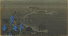 Carp, Edo period, early 19th century. Creator: Kuroda Toko