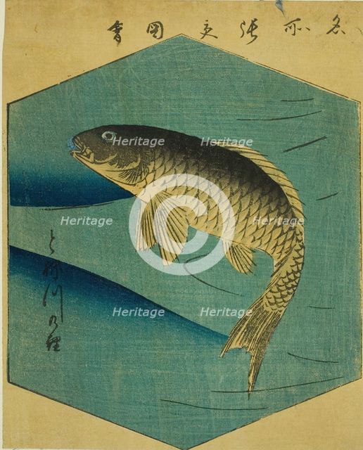 Carp in the Tone River (Tonegawa no koi), section of a sheet from the series "Cutout..., 1857. Creator: Ando Hiroshige.