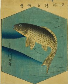 Carp in the Tone River (Tonegawa no koi), section of a sheet from the series "Cutout..., 1857. Creator: Ando Hiroshige