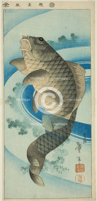 Carp, Japan, c. 1830/44. Creator: Katsushika Taito.