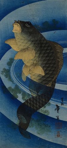 Carp (Koi), c. 1830-1840