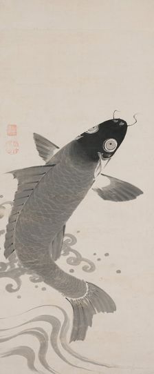 Carp, Second Half of the 18th cen.. Creator: Jakuchu, Ito (1716-1800)