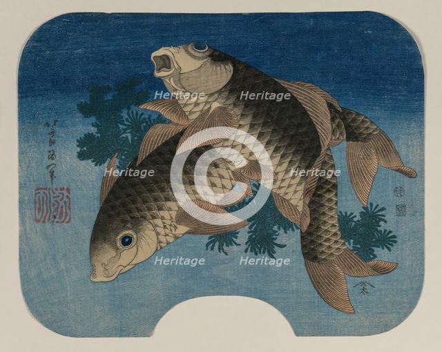 Carp Swimming by Water Weeds, 1831. Creator: Katsushika Hokusai (Japanese, 1760-1849).