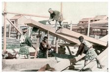 Carpenters at work, Japan, 1904