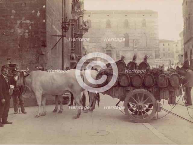Carro con buoi, Perugia, 1880s. Creator: James Anderson.