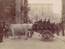 Carro con buoi, Perugia, 1880s. Creator: James Anderson