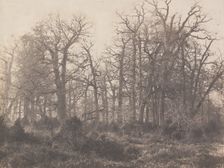 Carrefour de l'Epine, early 1860s. Creator: Eugène Cuvelier