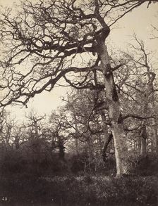 Carrefour De L'Epine, #43, Printed 1858 circa. Creator: Eugène Cuvelier