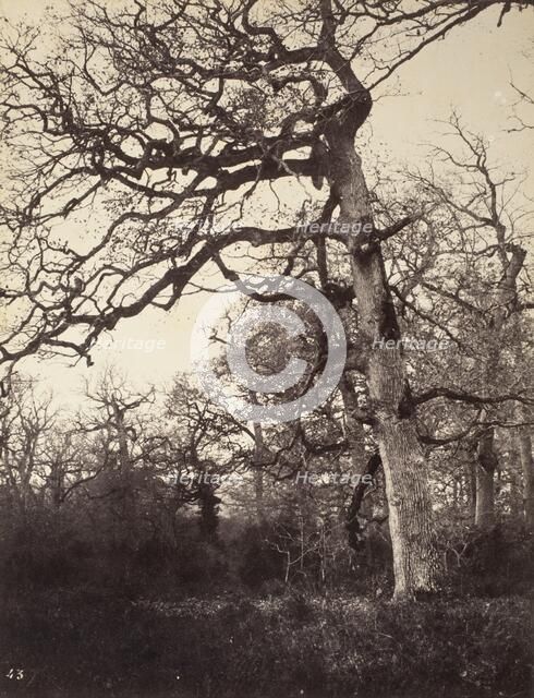 Carrefour De L'Epine, #43, Printed 1858 circa. Creator: Eugène Cuvelier.