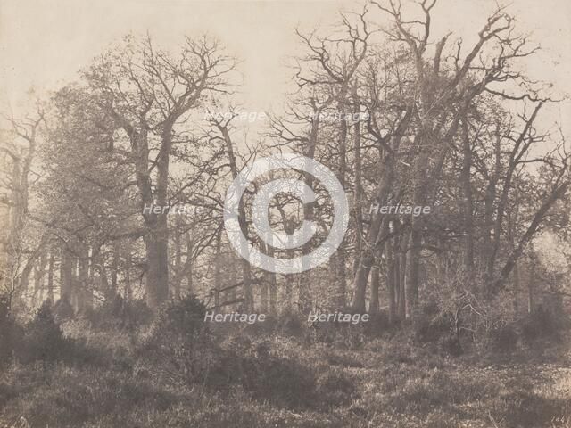 Carrefour de l'Epine, early 1860s. Creator: Eugène Cuvelier.