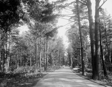 Carriage drive to High Lawn House, Lenox, Mass., c.between 1910 and 1920. Creator: Unknown