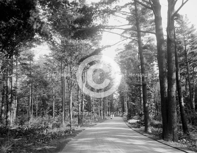 Carriage drive to High Lawn House, Lenox, Mass., c.between 1910 and 1920. Creator: Unknown.