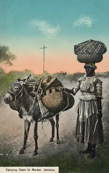 Carrying Coals to Market, Jamaica early 20th century. Creator: Unknown