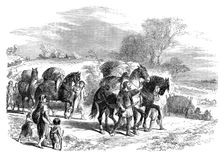 Carrying bread to London on pack-horses, c1895