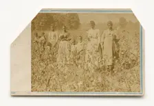 Carte-de-visite of African-American women and children in a cotton field, 1860s. Creator: J. H. Aylsworth