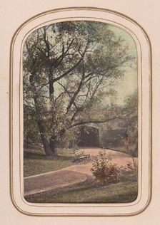 Carte-de-visite Album of Central Park Views, 1860s. Creator: Ambrose Jackson