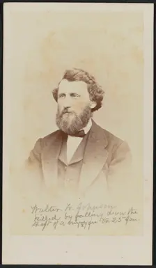 Carte-de-visite portrait of Walter W. Johnson, 1868. Creator: Henry Ulke
