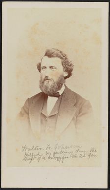 Carte-de-visite portrait of Walter W. Johnson, 1868. Creator: Henry Ulke