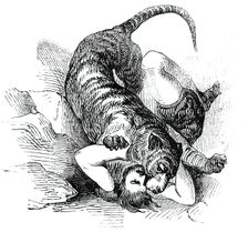 Carter's Tiger Feat, 1844. Creator: Unknown