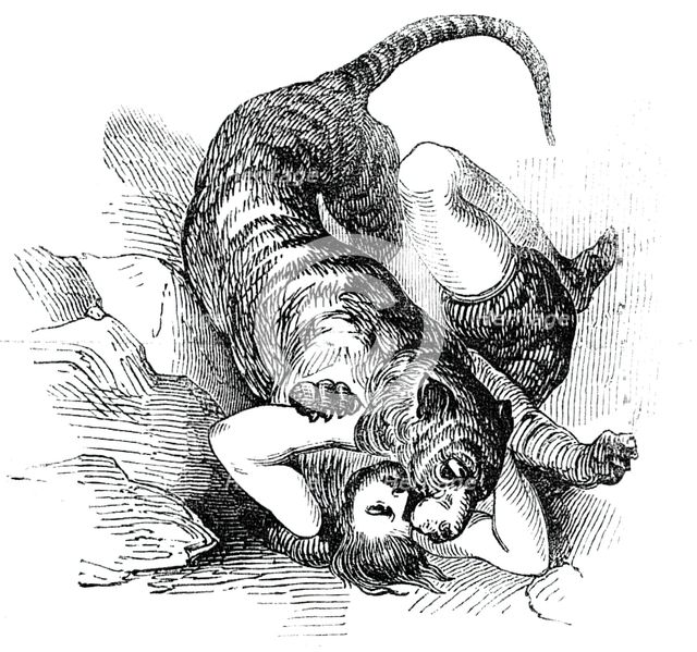 Carter's Tiger Feat, 1844. Creator: Unknown.