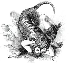 Carter's Tiger Feat, 1844. Creator: Unknown