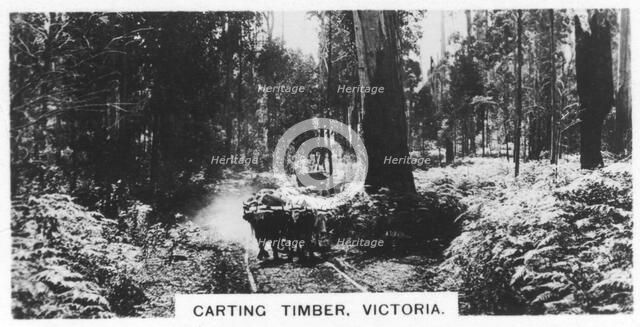Carting timber, Victoria, Australia, 1928. Artist: Unknown