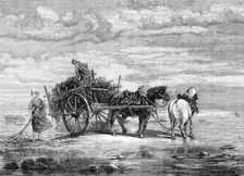 "Carting Seaweed, Coast of Normandy," by S. Bird, from the exhibition of the Royal Academy, 1872. Creator: Unknown