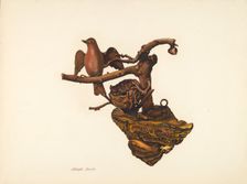Carved Bird and Nest, c. 1941. Creator: Beilin, Adolph