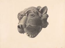 Carved Cat Head Gargoyle, c. 1936. Creator: Alton K. Skillin