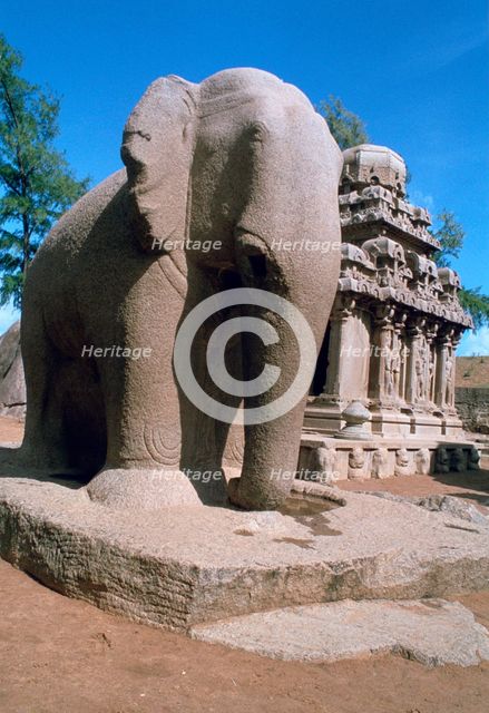 Carved stone elephant, Five Rathas, Mahabalipuram, Tamil Nadu, India.