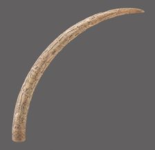 Carved Tusk, c. 1820. Creator: Unknown
