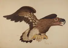Carved Wooden Eagle, c. 1939. Creator: Robert Gilson