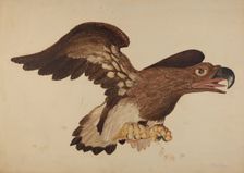 Carved Wooden Eagle, c. 1939. Creator: Robert Gilson