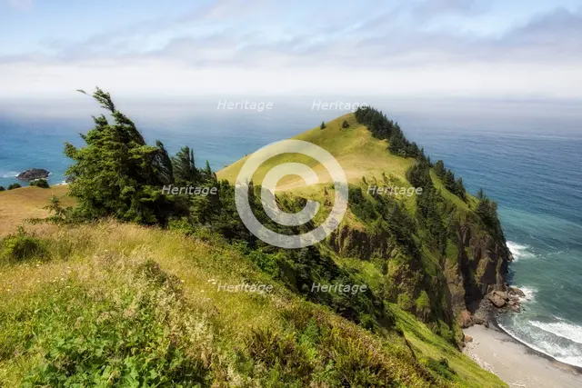 Cascade Head. Creator: Joshua Johnston.