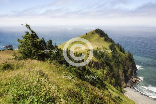 Cascade Head. Creator: Joshua Johnston.