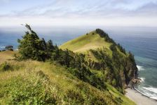 Cascade Head. Creator: Joshua Johnston
