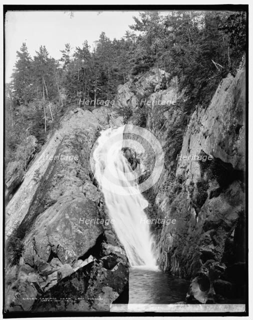 Cascade near Lake Dunmore, Green Mountains, between 1900 and 1906. Creator: Unknown.