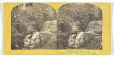 Cascadilla Creek, Ithaca, N.Y. 6th Fall, or Giant's Staircase, near Willow Pond, 1860/65. Creator: J. C. Burritt
