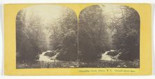 Cascadilla Creek, Ithaca, N.Y. Cascade above dam, 1860/65. Creator: J. C. Burritt