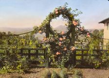 "Casa de Mariposa," Walter Franklin Cobb house, Butterfly Lane, Montecito, California, 1917. Creator: Frances Benjamin Johnston