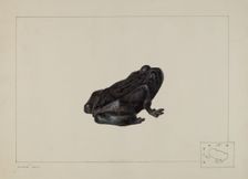 Cast Iron Frog, c. 1938. Creator: Ralph N. Morgan