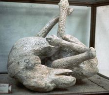 Cast of a chained dog from Pompeii, 1st century. Creator: Unknown
